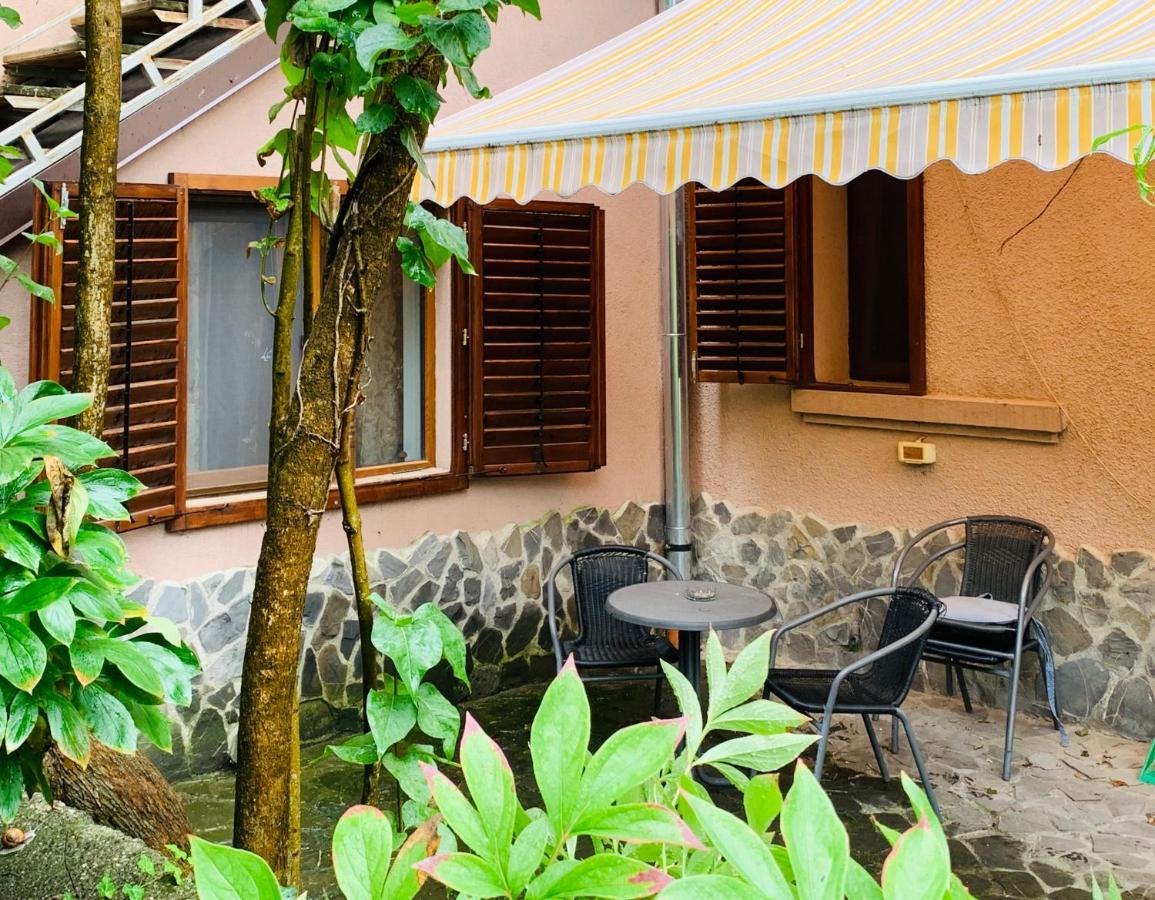 Maan Central Apartment Pet Friendly Location Brasov Ngoại thất bức ảnh