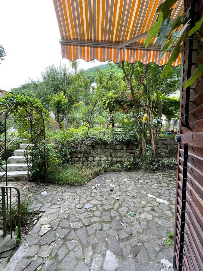 Maan Central Apartment Pet Friendly Location Brasov Ngoại thất bức ảnh