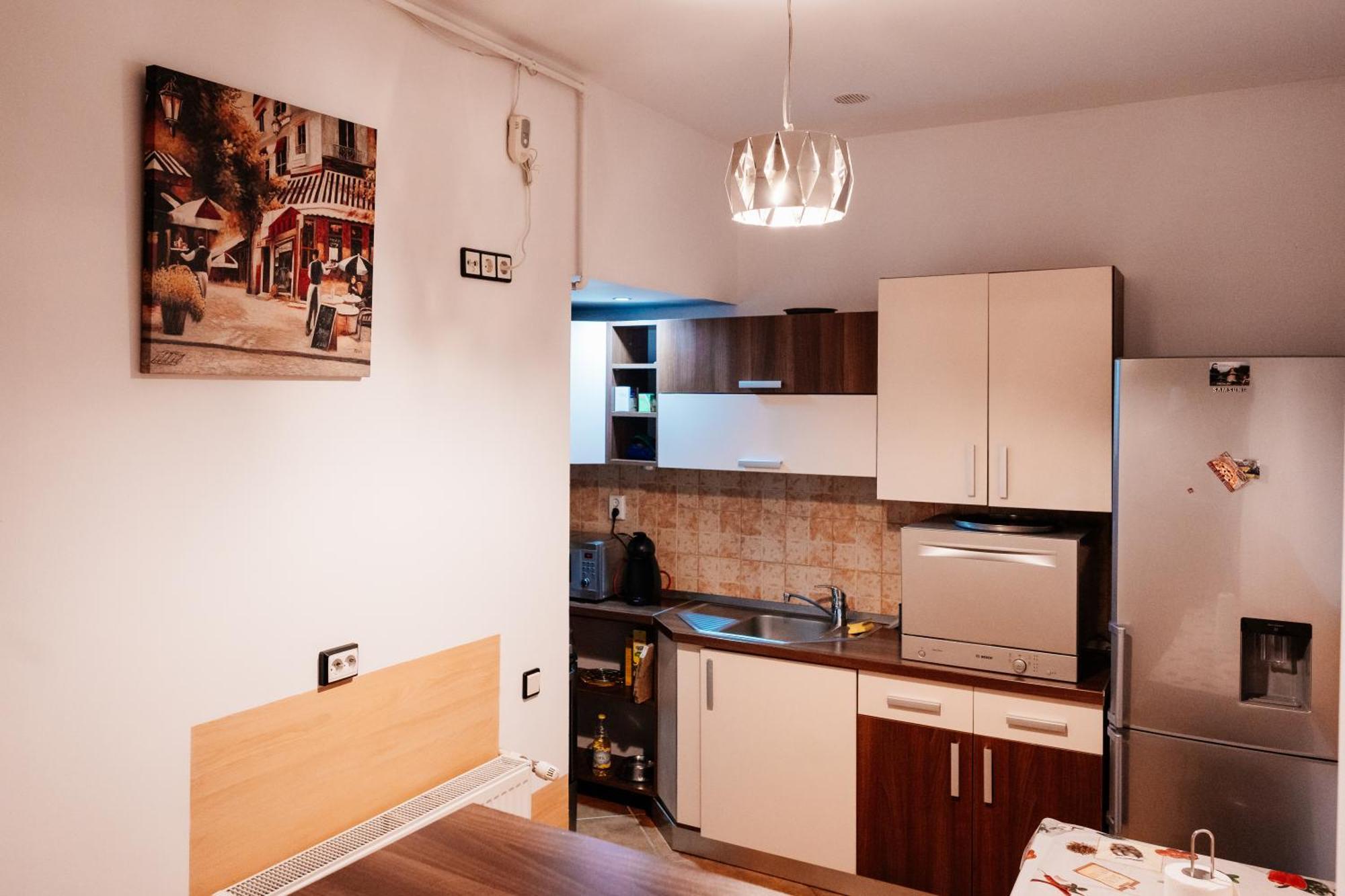 Maan Central Apartment Pet Friendly Location Brasov Ngoại thất bức ảnh